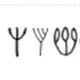 Branch