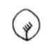 Yoni symbol indicates mother goddess and the idea of rebirth.