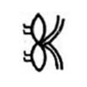 Bee was another form of dead mans resurrected soul.