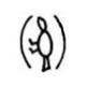Bird symbol indicates the same idea as that of fish symbolism